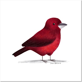 Crimson Backed Tanager Posters and Art